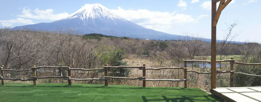 場 朝霧 キャンプ 高原 オート